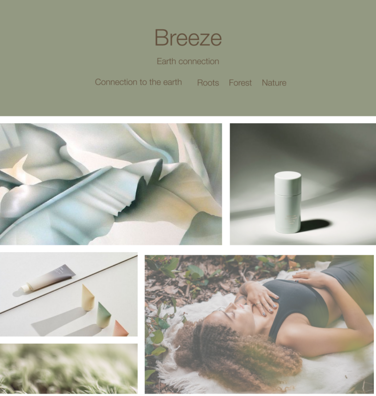 branding direction 02