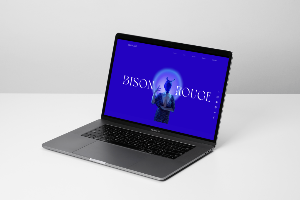 bison rouge - user - case